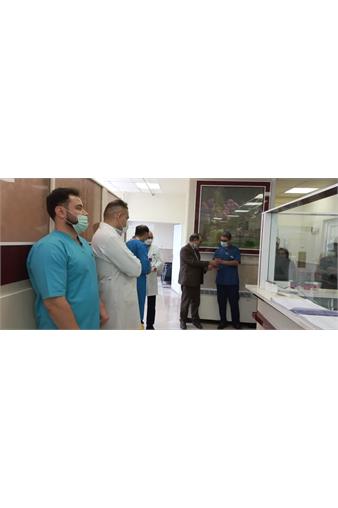 روز دندانپزشکی1402 3